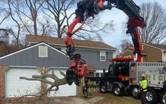 A crane is lifting a tree in front of a house.