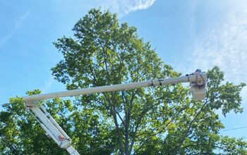 A stump grinder is cutting a tree stump in a yard.