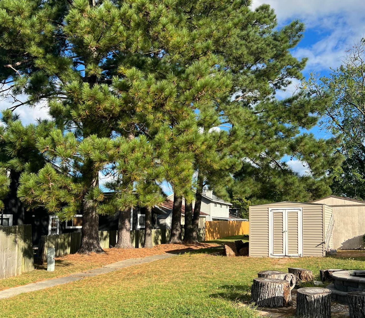A backyard with a shed , picnic table , and trees.