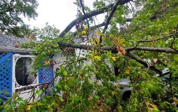 A tree branch has fallen on a house.