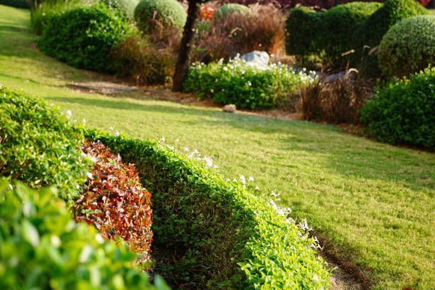 Beautiful Green Landscape - Mukwonago, WI - WH Major & Sons Inc