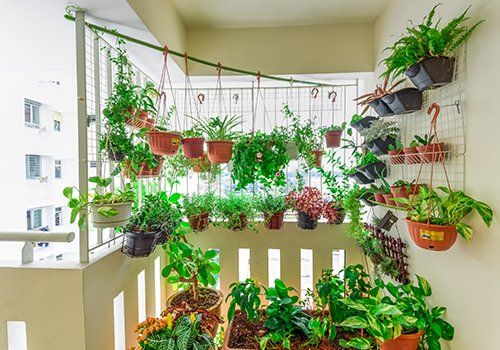 un balcone con delle piante e dei vasi appesi