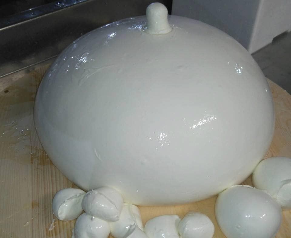 Una grande palla rotonda di mozzarella bianca con pezzi più piccoli raggruppati alla base, su una superficie di legno.