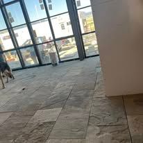 A dog stands on a stone tile floor in front of large, floor-to-ceiling windows looking out onto a bright, outdoor area.