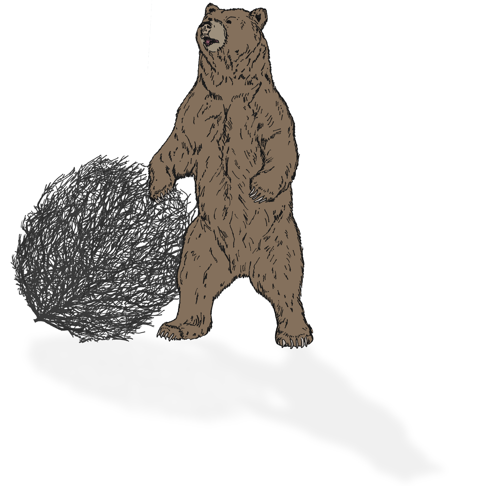 A drawing of a bear standing on its hind legs holding a ball
