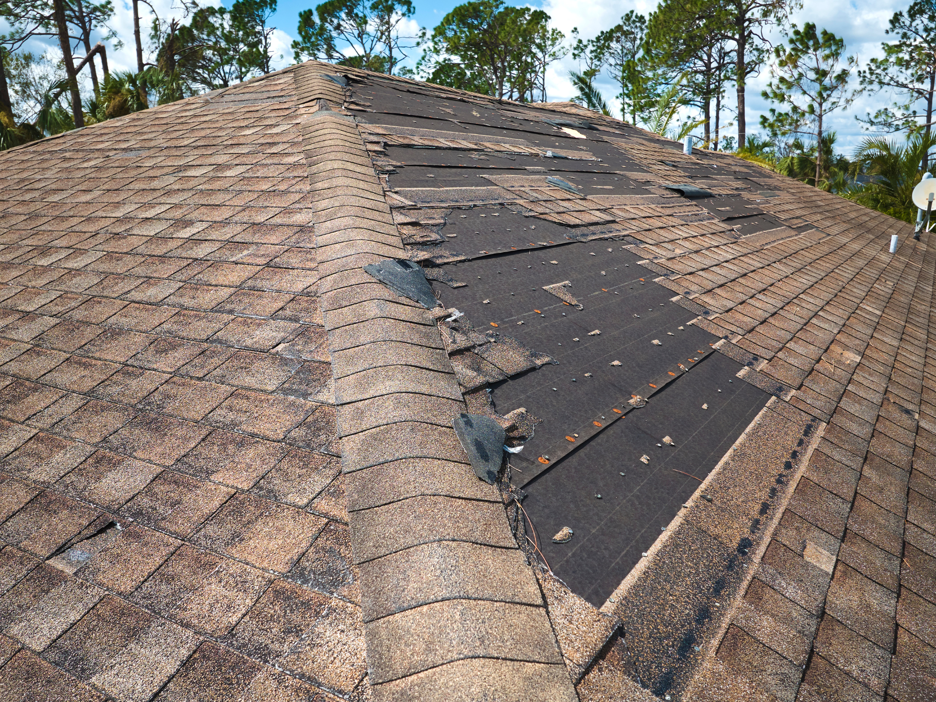 pro roofing and construction