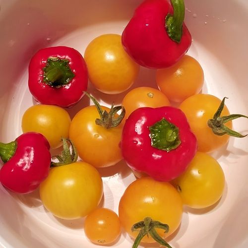 A bowl filled with yellow tomatoes and red peppers