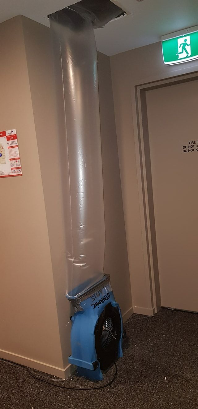 A Blue Fan is Sitting in a Hallway Next to a Door — Dynamic Services in Biloela, QLD