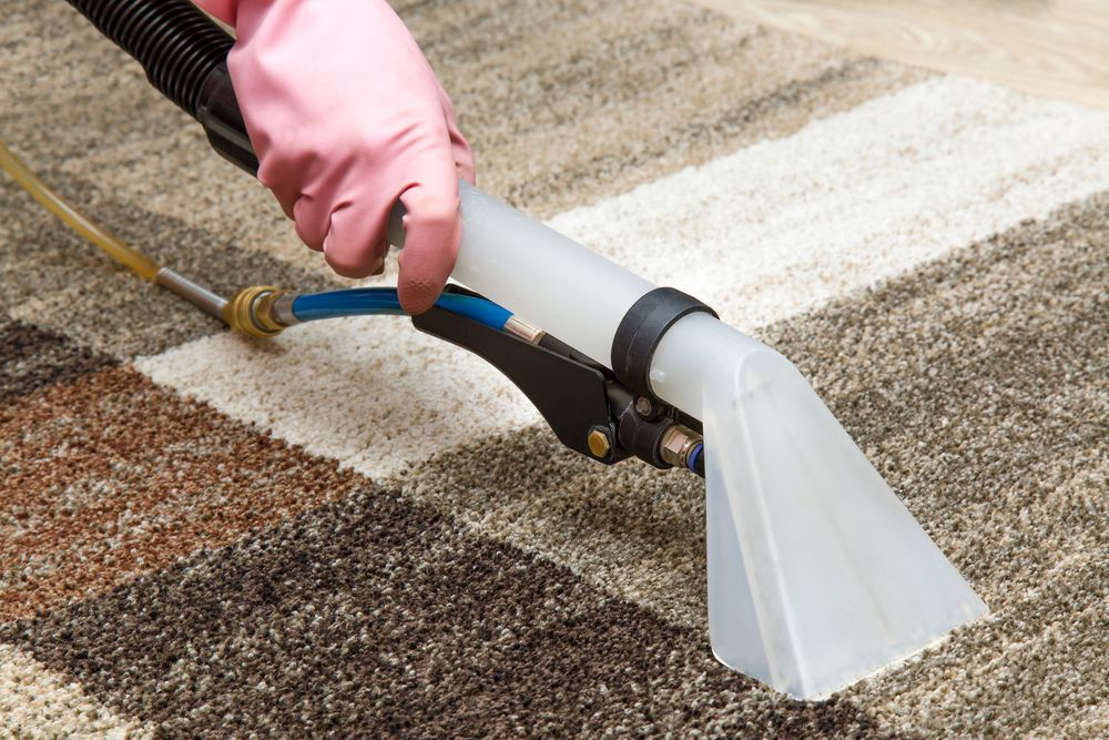 A Person is Cleaning a Rug With a Vacuum Cleaner — Dynamic Services in Blackwater, QLD