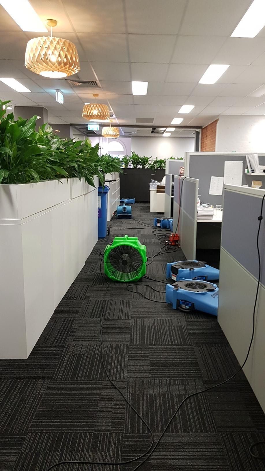 A Vacuum Cleaner is Cleaning a Carpet in a Room — Dynamic Services in Limestone Creek, QLD