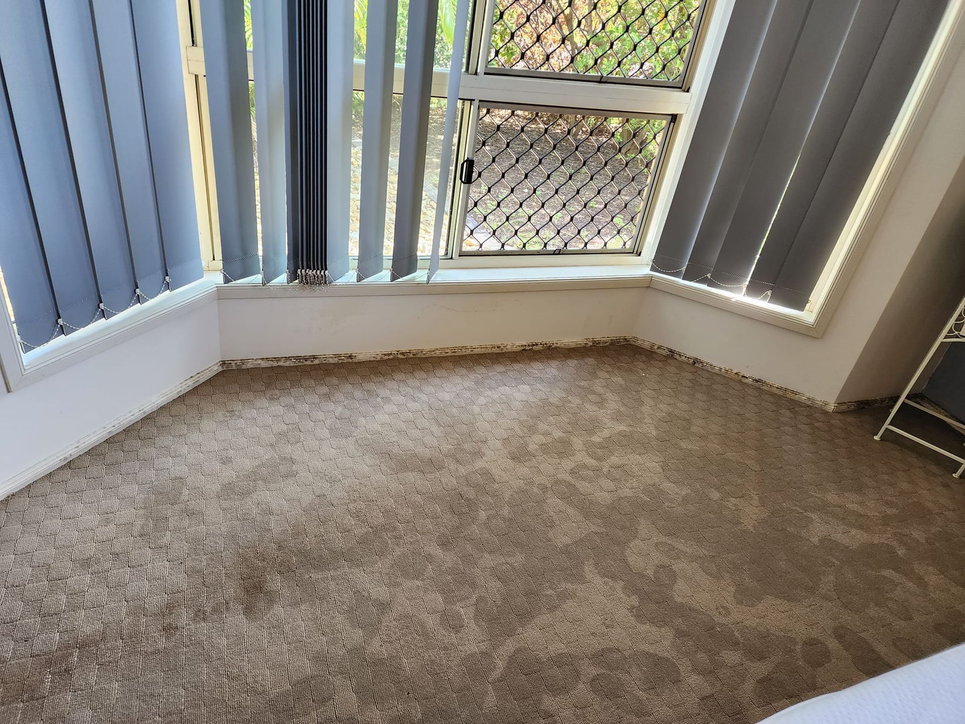 Beige carpeted corner room with window and blinds.— Dynamic Services in Limestone Creek, QLD