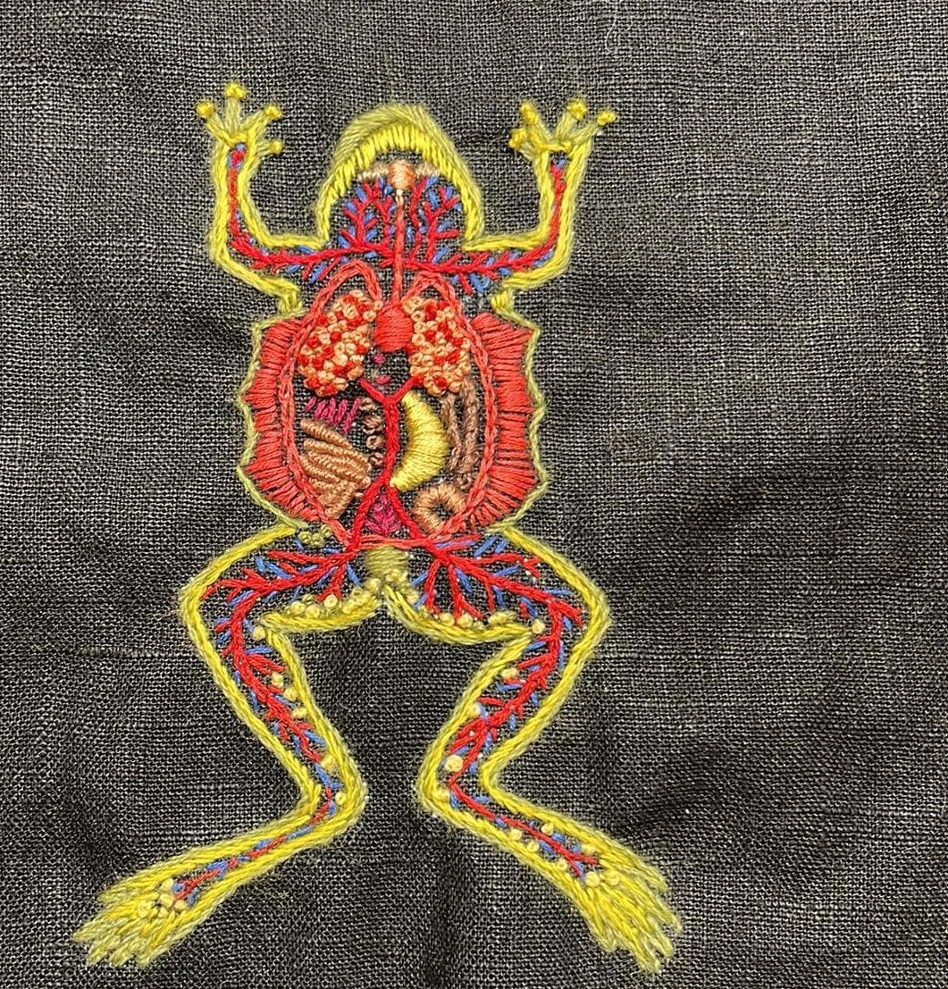 En kvinde med briller ligger på maven på en sofa