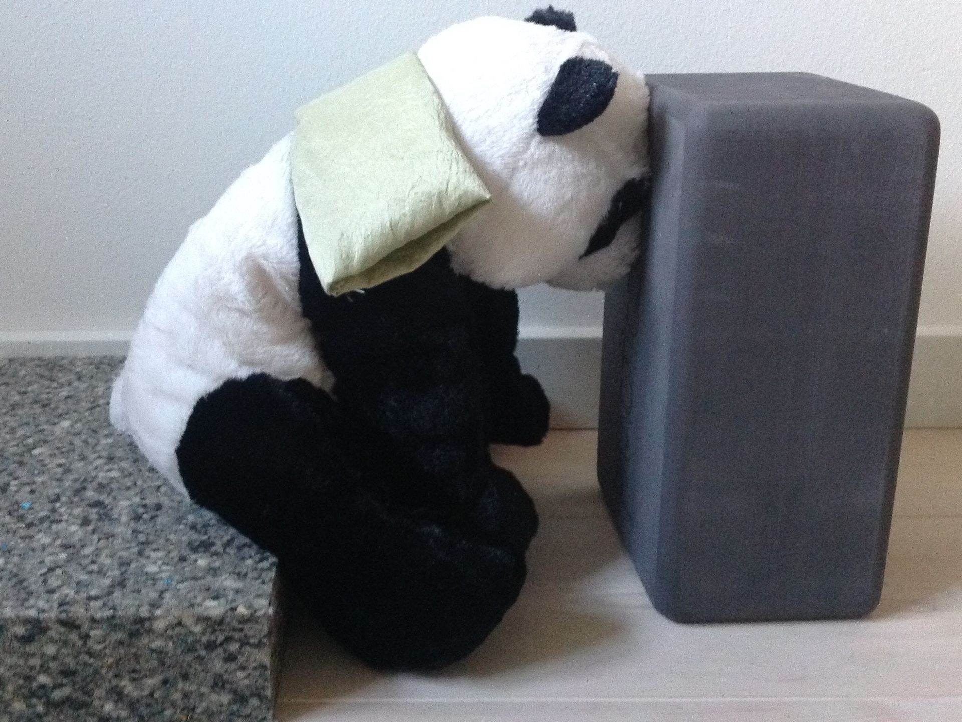 Panda hviler
