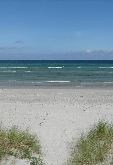 en sandstrand med en sti, der fører til havet