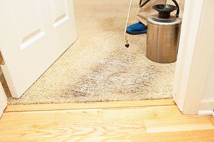 Stain Removal Expert — Dirty Carpet in North Charleston, SC