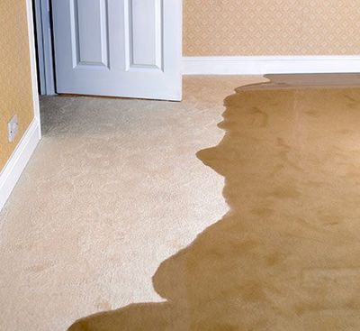 Water Removal Services — Living Room Carpet Flooding in North Charleston, SC