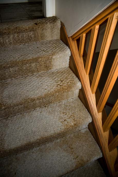 Carpet Cleaning Specialist — Water Leaking On The Stairs in North Charleston, SC