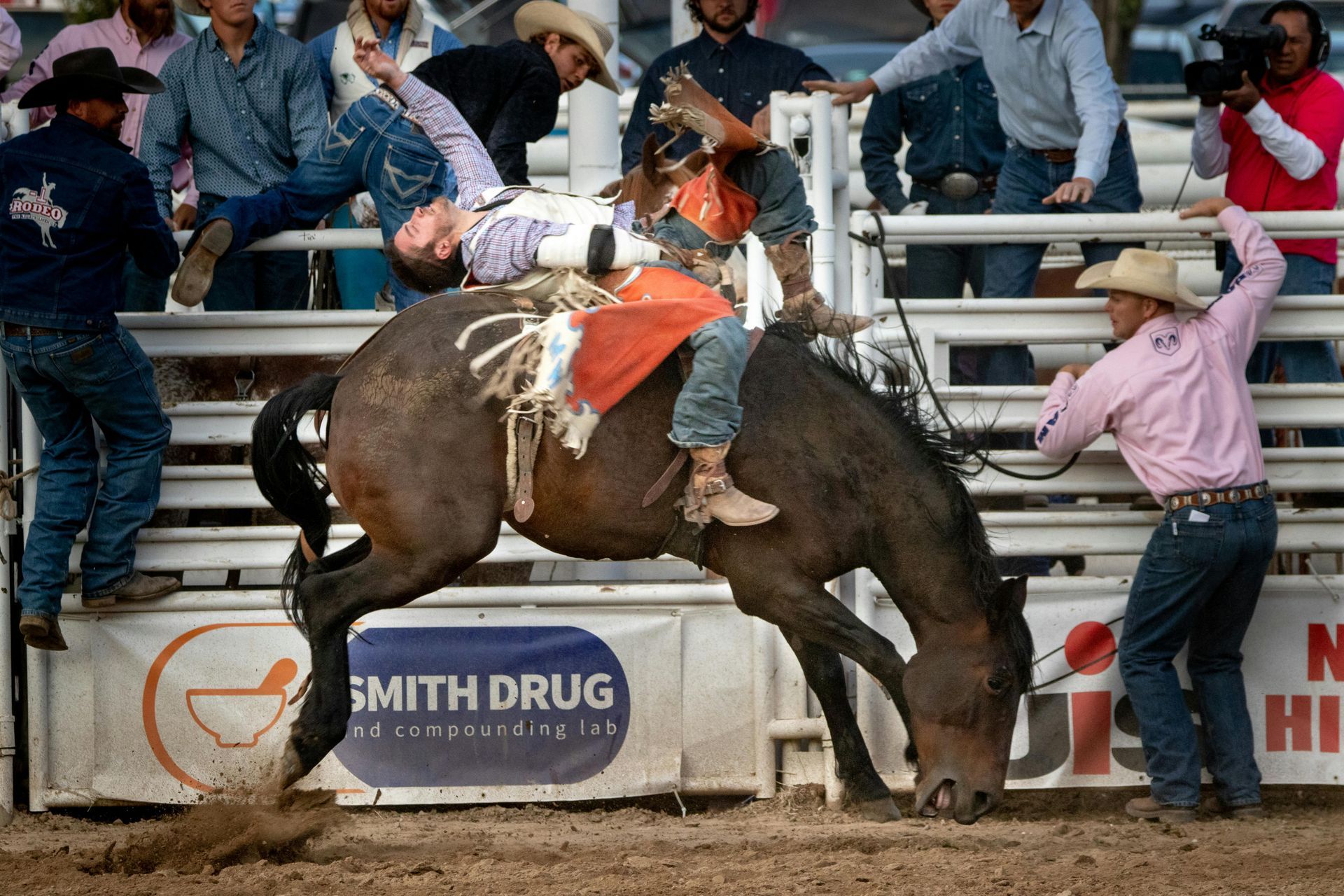Rodeo: A rider is bucked off a dark horse, spectators watch from the fence.