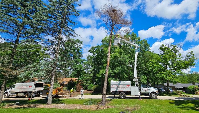 A tree cutting truck is cutting a tree in a yard.