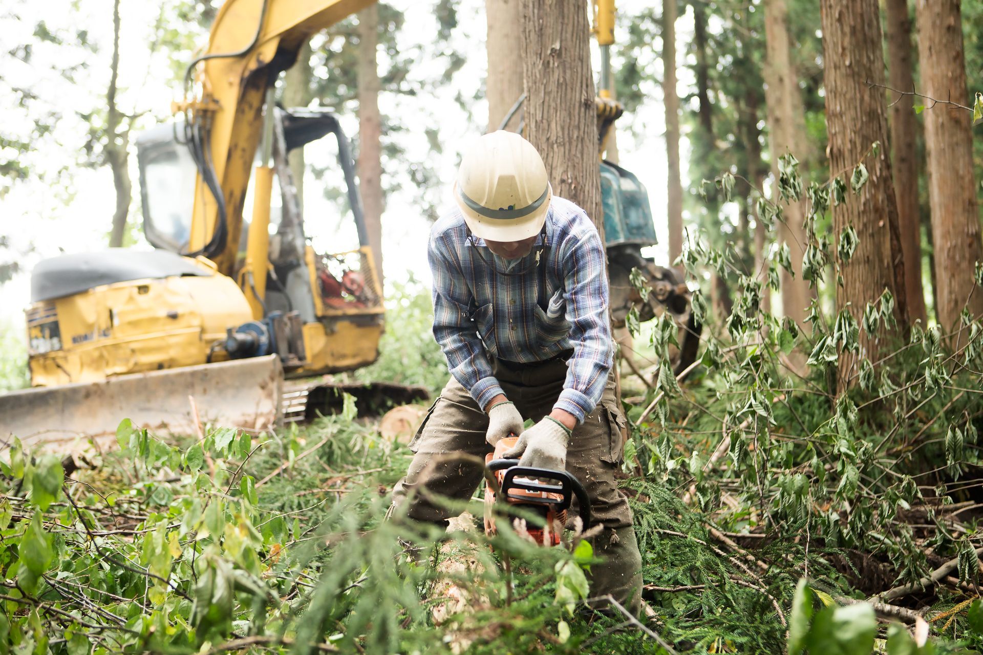 A man is cutting a tree with a chainsaw in the woods.