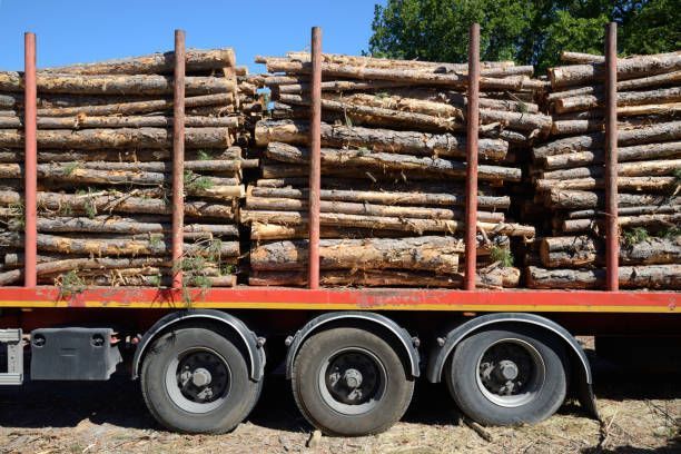 A Large Stack Of Logs — Fox Lake, IL — Joe Meyer Tree Service Inc