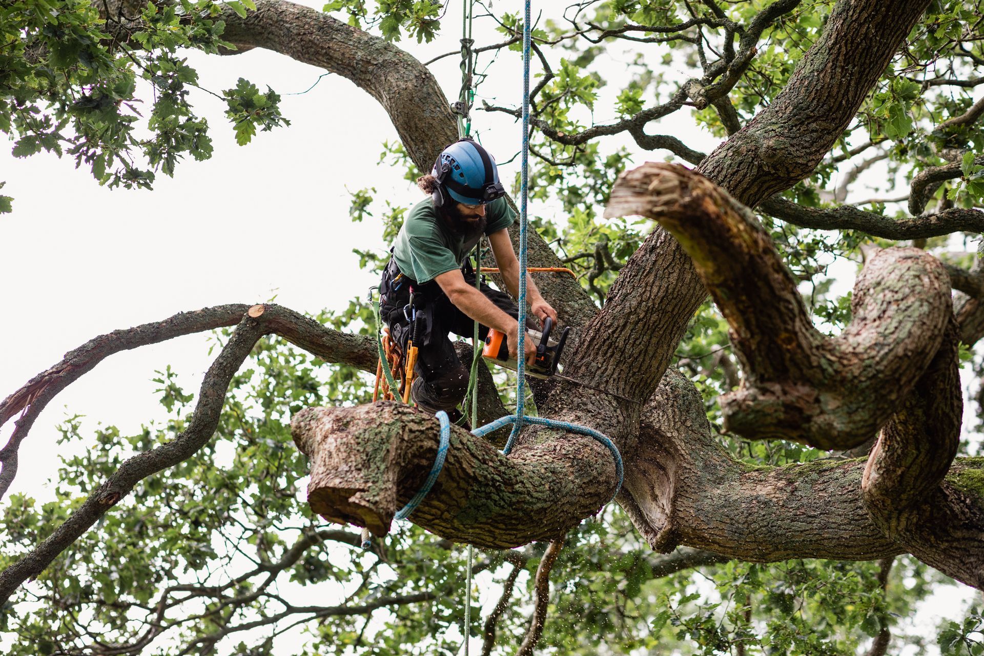 A man is cutting a tree branch with a chainsaw.