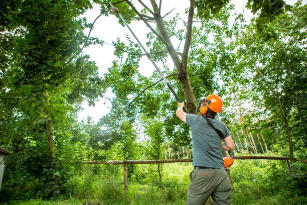 Environmentally Safe Methods — Fox Lake, IL — Joe Meyer Tree Service Inc
