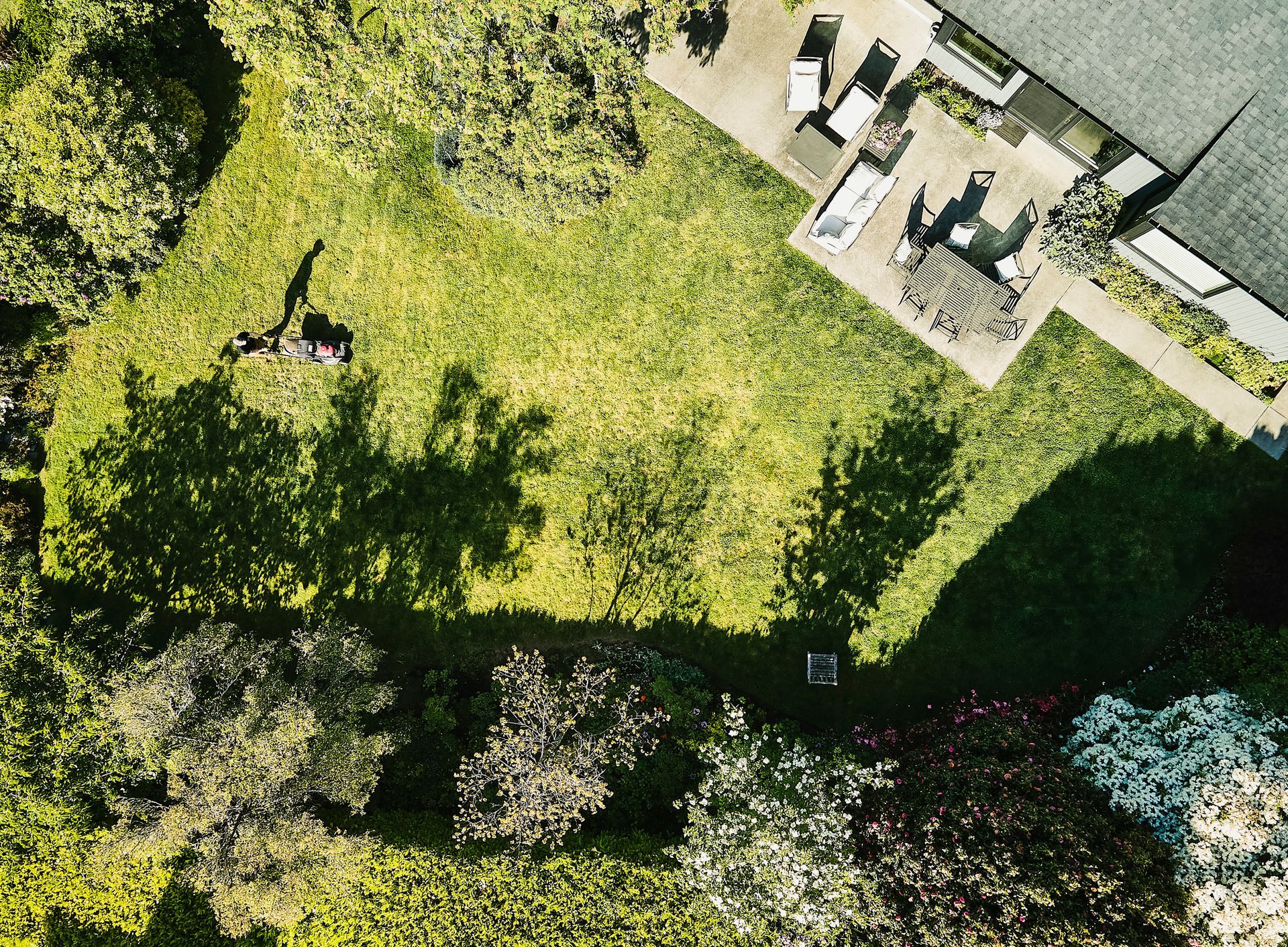 An aerial view of a lush green yard with a house in the background.