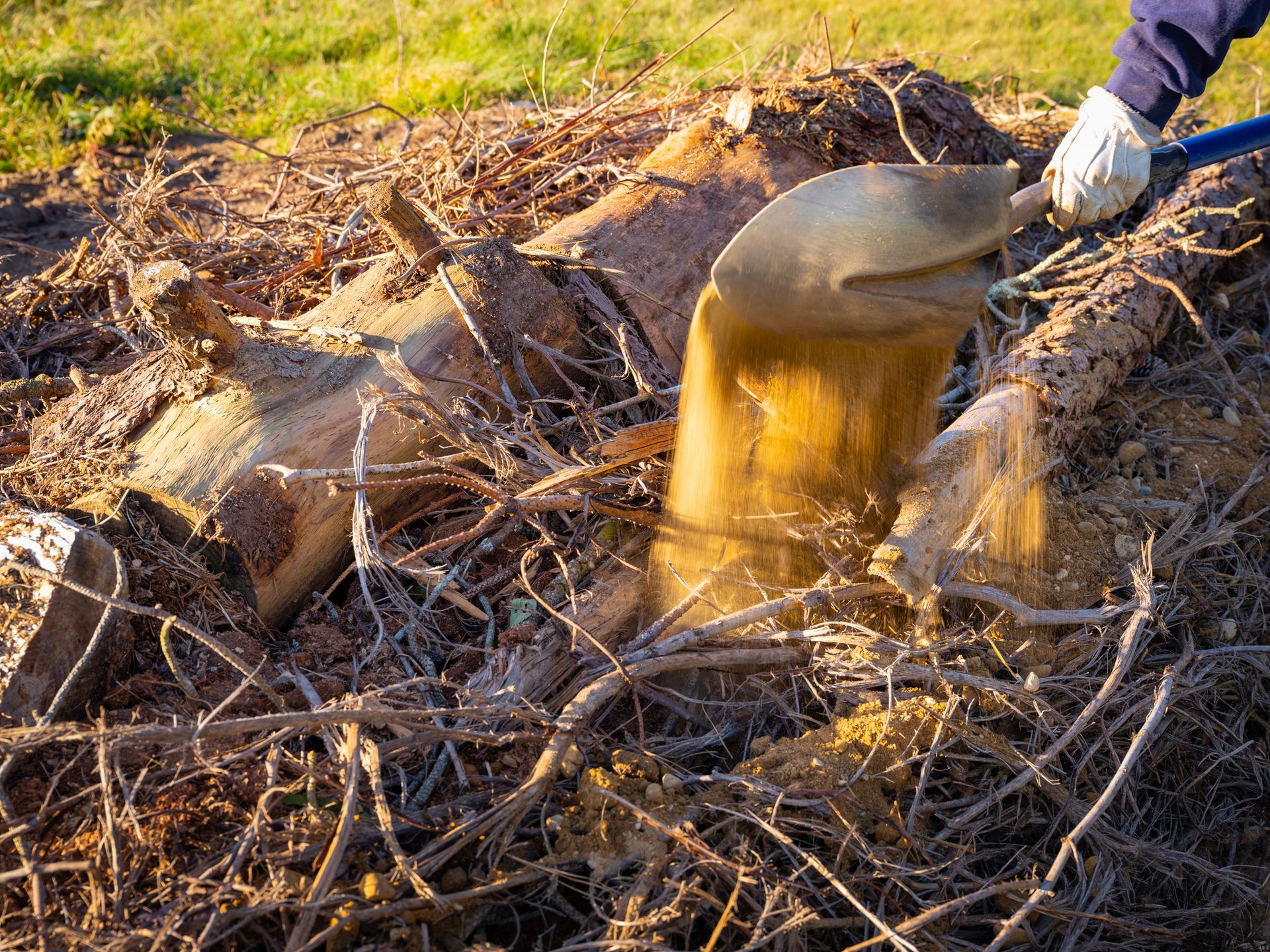 Post Removal Cleanup — Fox Lake, IL — Joe Meyer Tree Service Inc