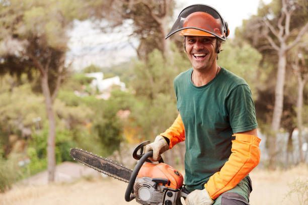 Experienced And Certified Arborists — Fox Lake, IL — Joe Meyer Tree Service Inc