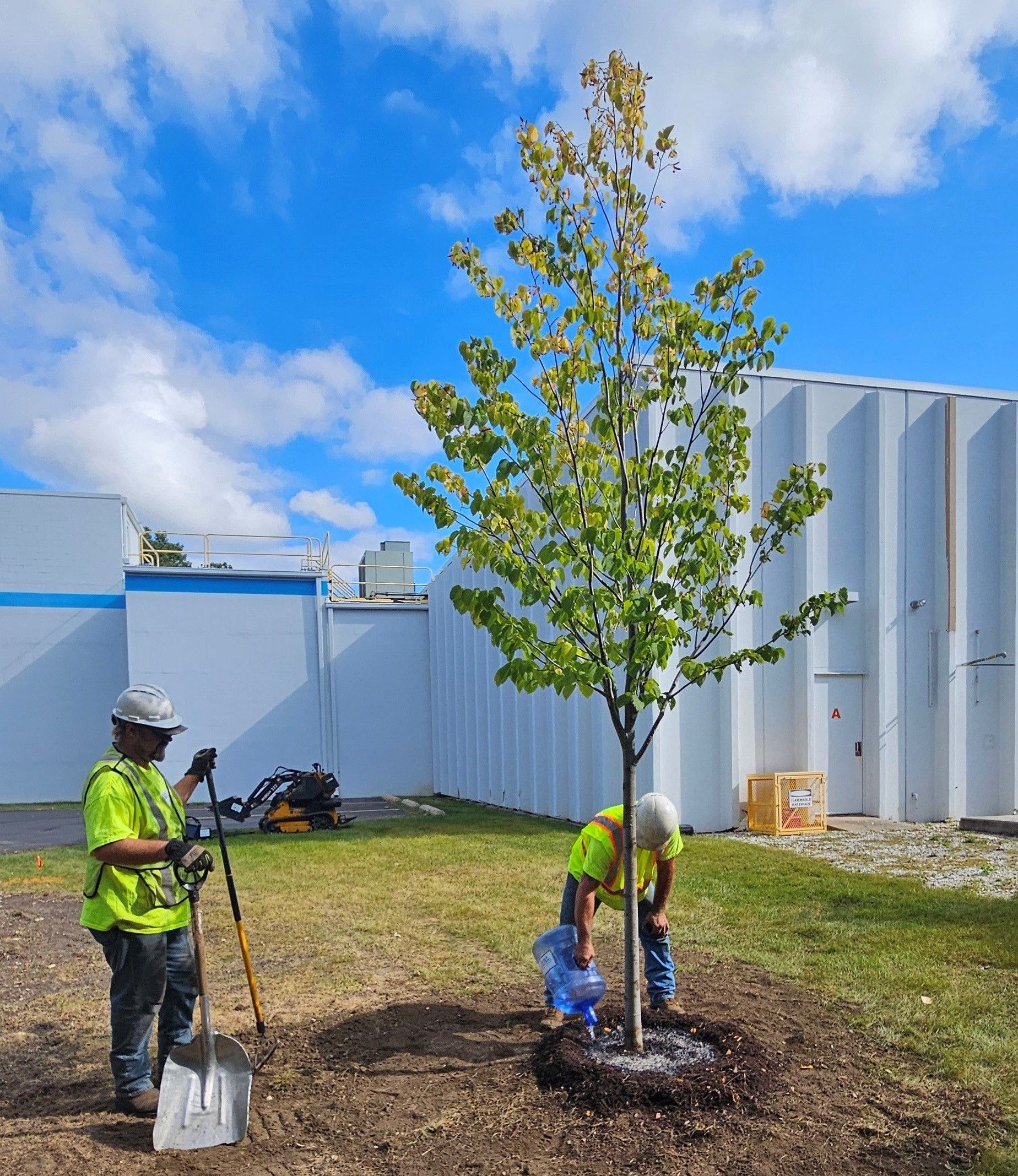 Two men are planting a tree in a field.