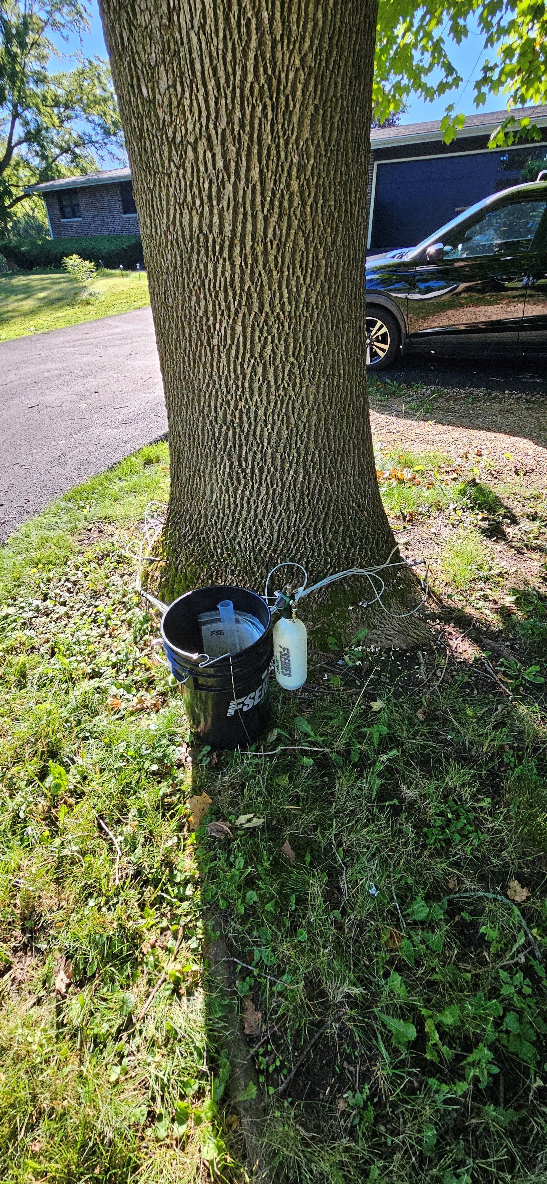 Disease Control — Fox Lake, IL — Joe Meyer Tree Service Inc