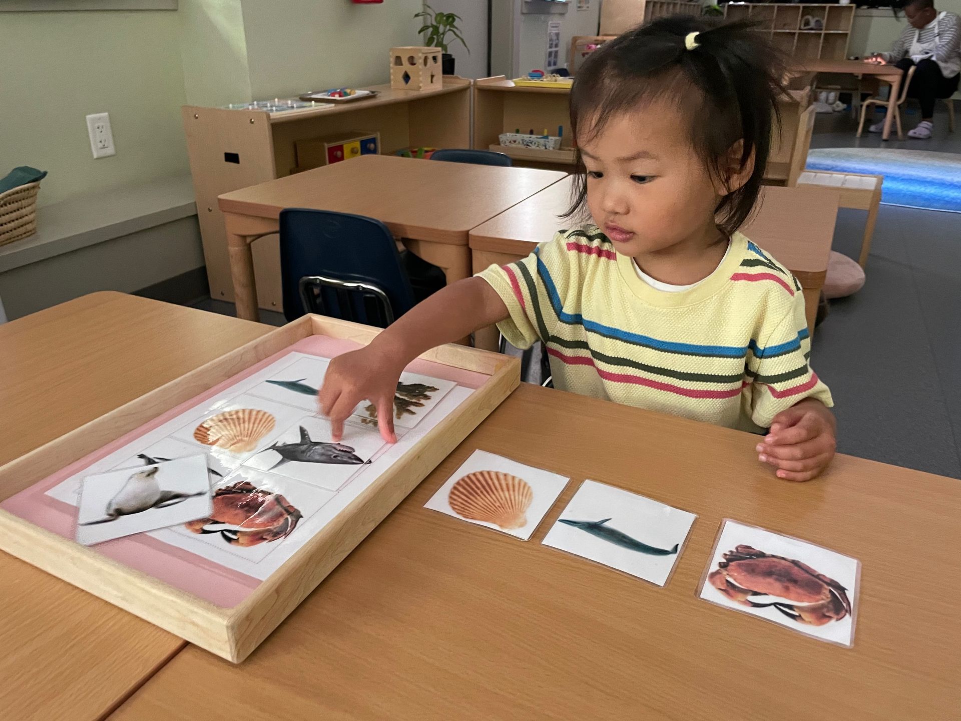 Toddler working with Montessori Language materials