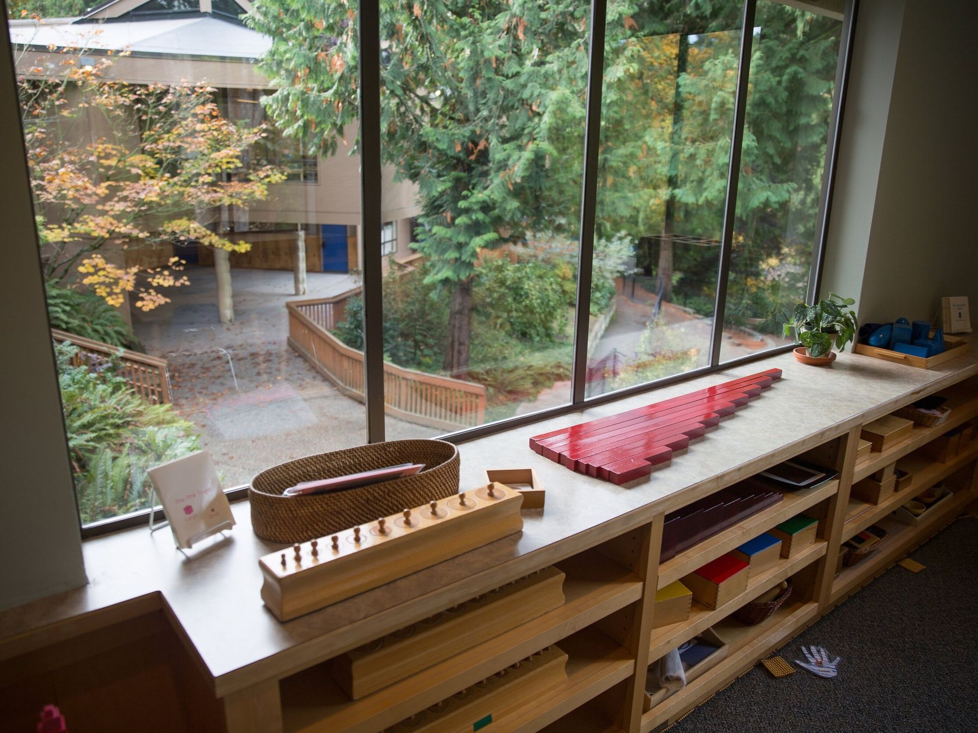 Tree House view of Main Campus
