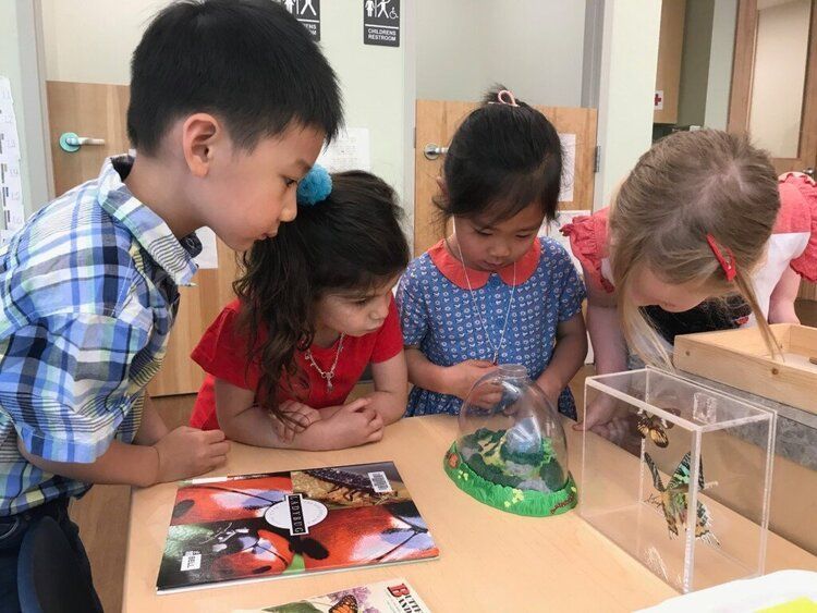 Montessori children in the classroom