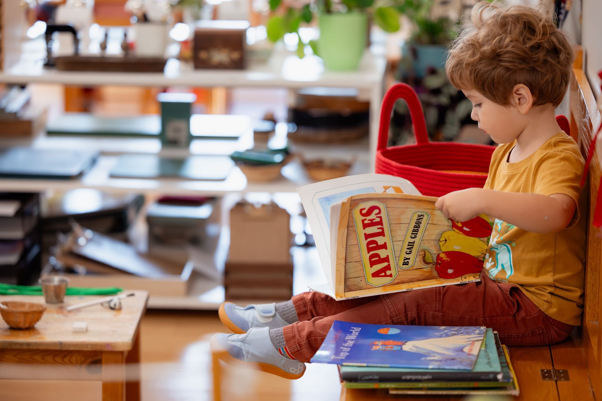 Montessori  toddler reading in the classroom