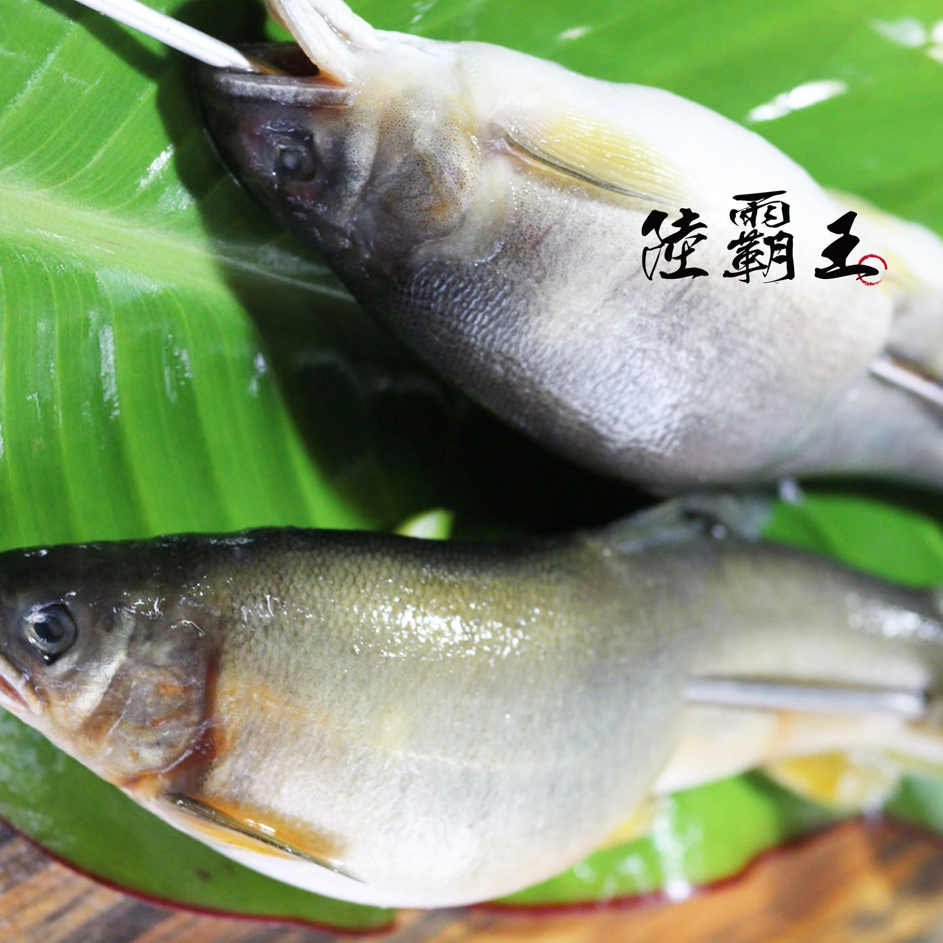 ☆爆違規特大母香魚5-6尾裝/盒☆ 爆卵 爆蛋母香魚 烤肉 【 陸霸王】