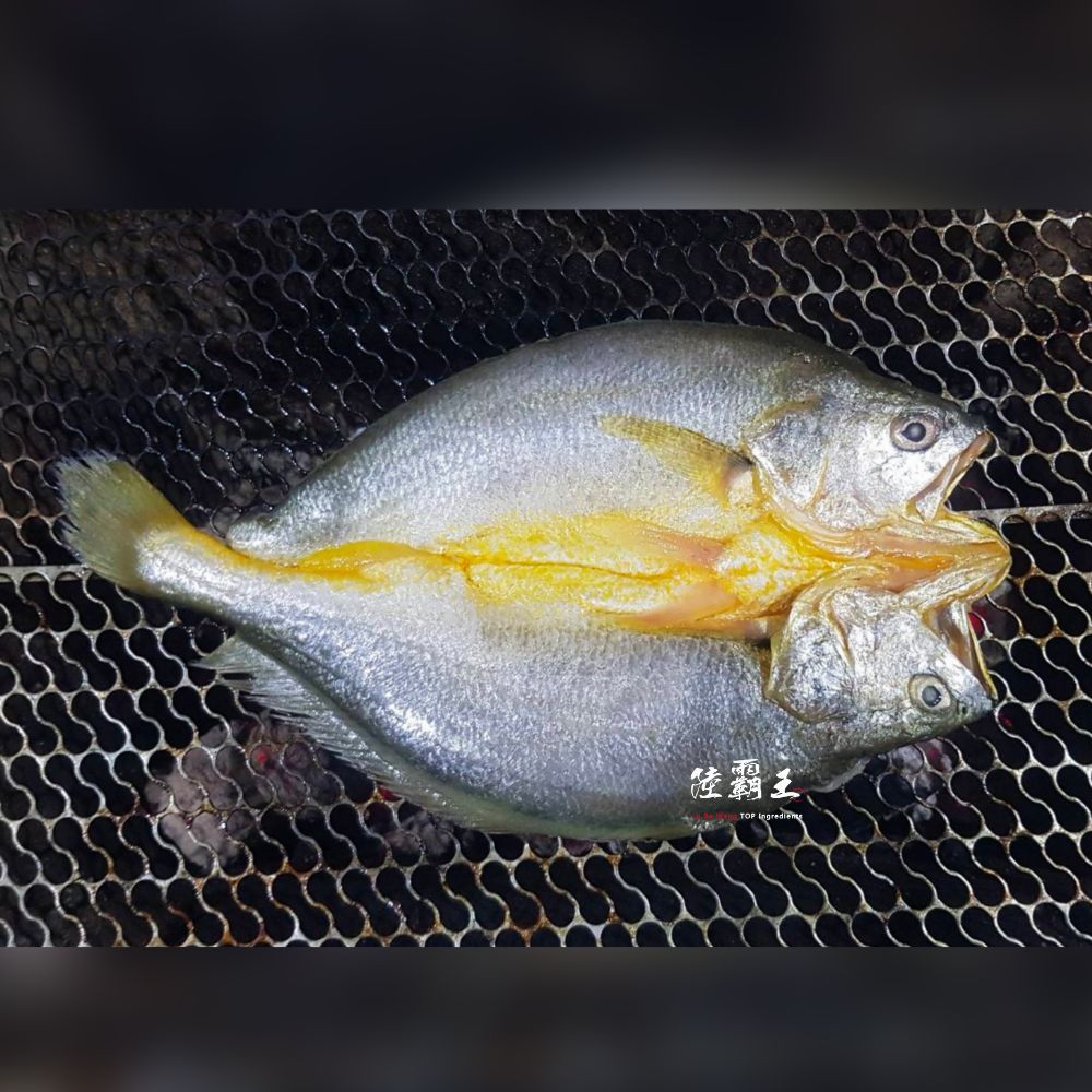 黃魚一夜干200G+-10%片_生鮮薄鹽 低gi  【陸霸王】