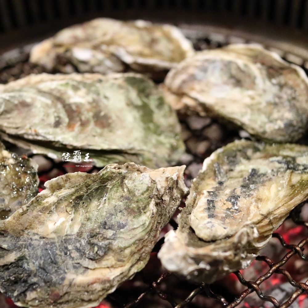 3L日本生蠔_烤肉 生食牡蠣 手掌大  中秋 烤肉【陸霸王】