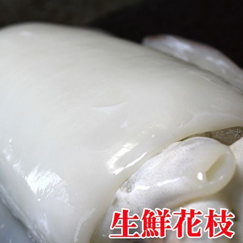 生凍大花枝 250g±5% 隻  海鮮 炒三杯 【陸霸王】