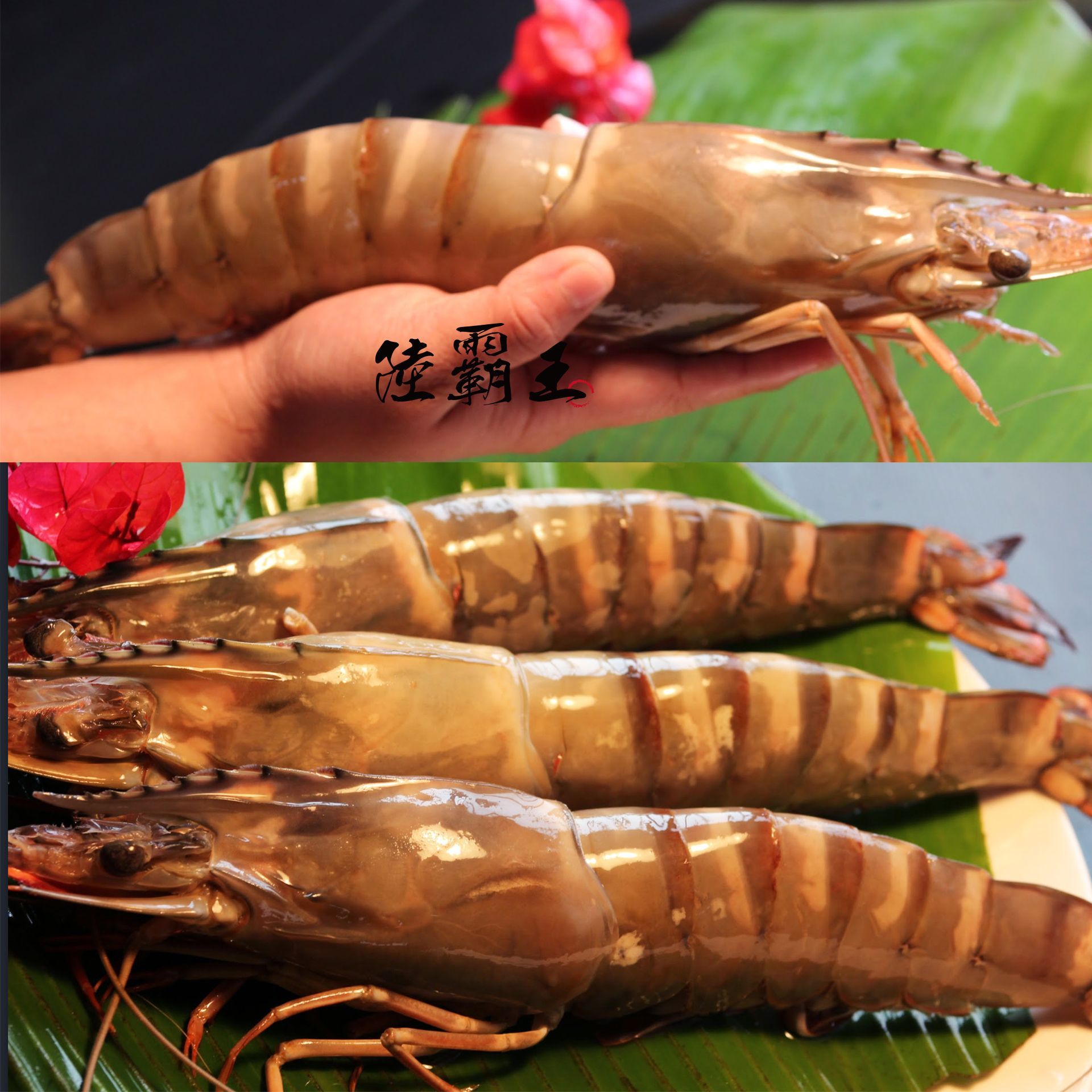 第2件六折☆巨無霸大草蝦☆超大蝦4隻入 烤肉 送禮