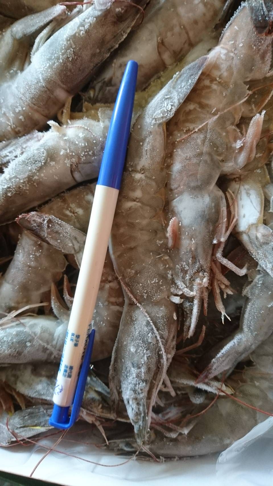 【2盒組】30/40超級大白蝦  重850g/盒 生鮮 清蒸 熱炒【陸霸王】