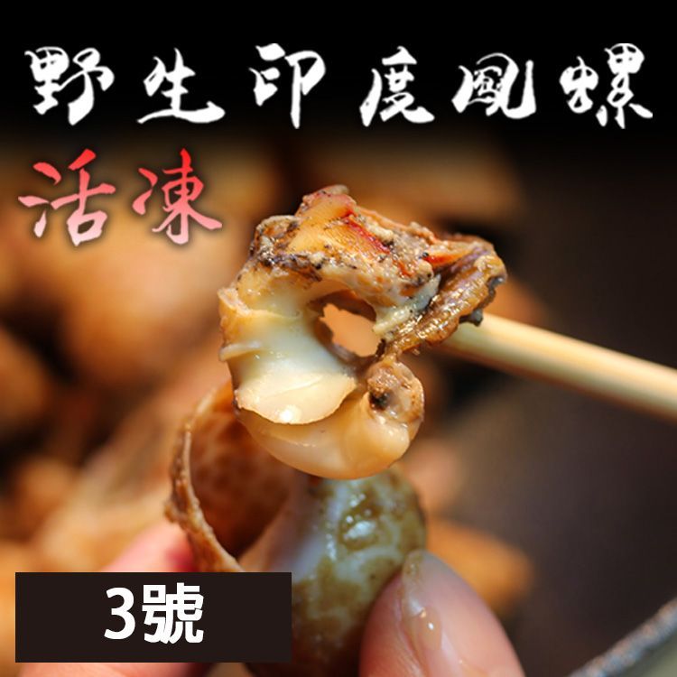 ☆3號鳳螺 ☆風螺 生鮮野生印度鳳螺  2kg/包 50/80 快炒 胡椒粉【陸霸王】