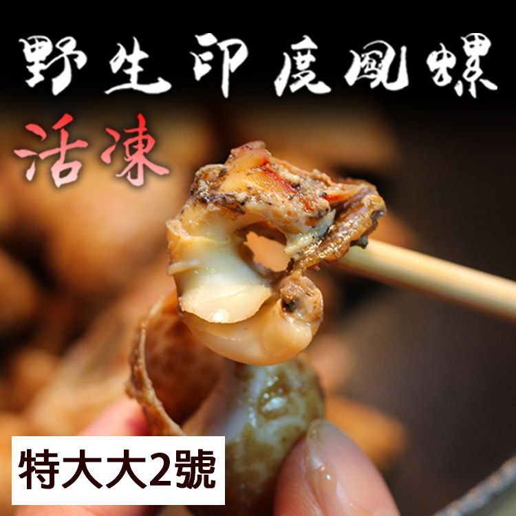 特大2號 印度鳳螺風螺   2kg/包 #30/50  胡椒粉 快炒【陸霸王】