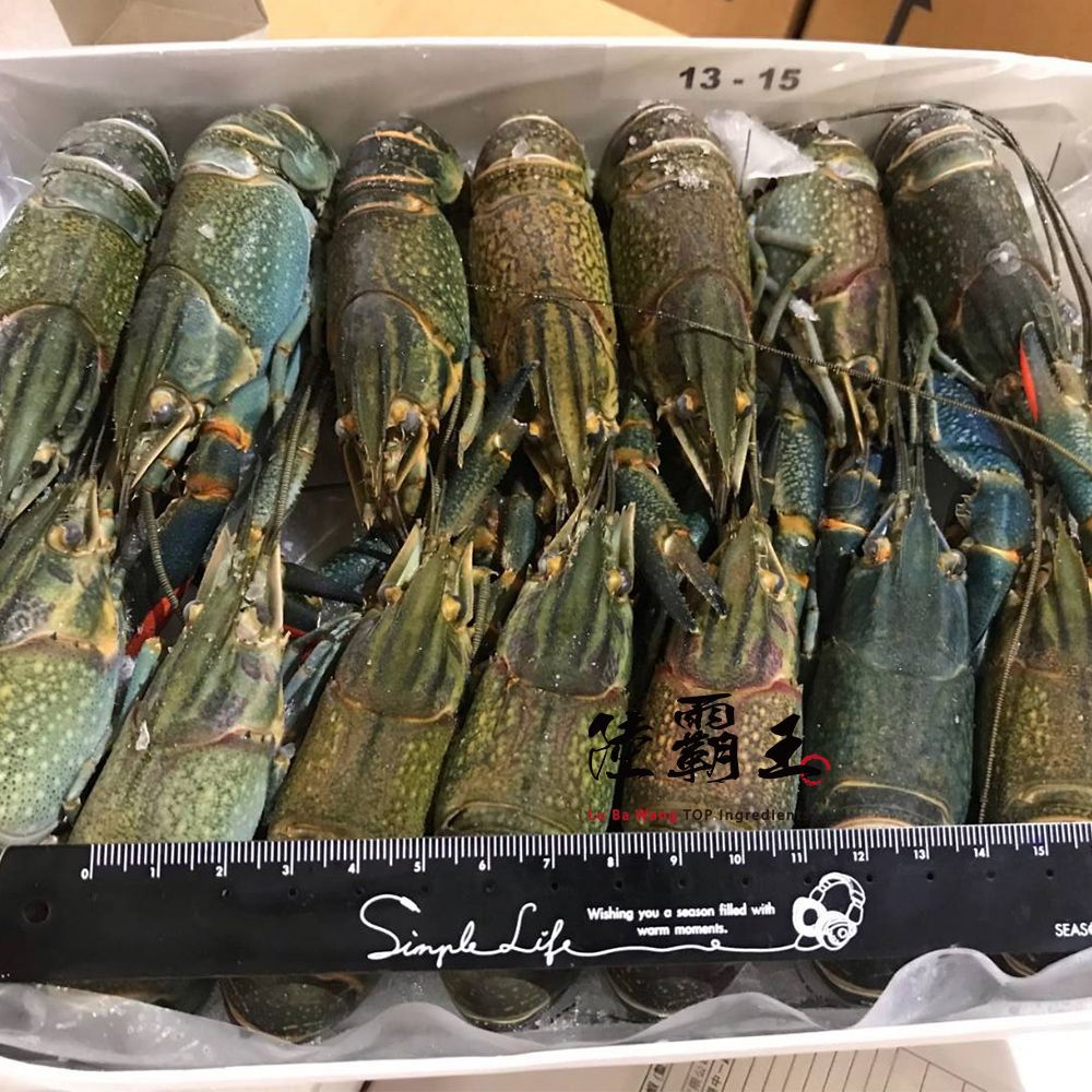 【多件優惠】生凍小龍蝦_1公斤/盒☆溶岩龍蝦 烤肉 年菜 火鍋 送禮 【陸霸王】