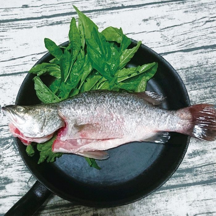 【金目鱸魚】500g±10%/隻 低GI 原價220 下殺$199【陸霸王】