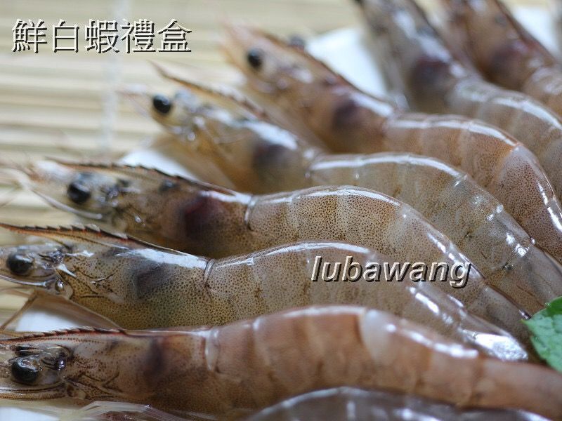 【2盒組】30/40超級大白蝦  重850g/盒 生鮮 清蒸 熱炒【陸霸王】