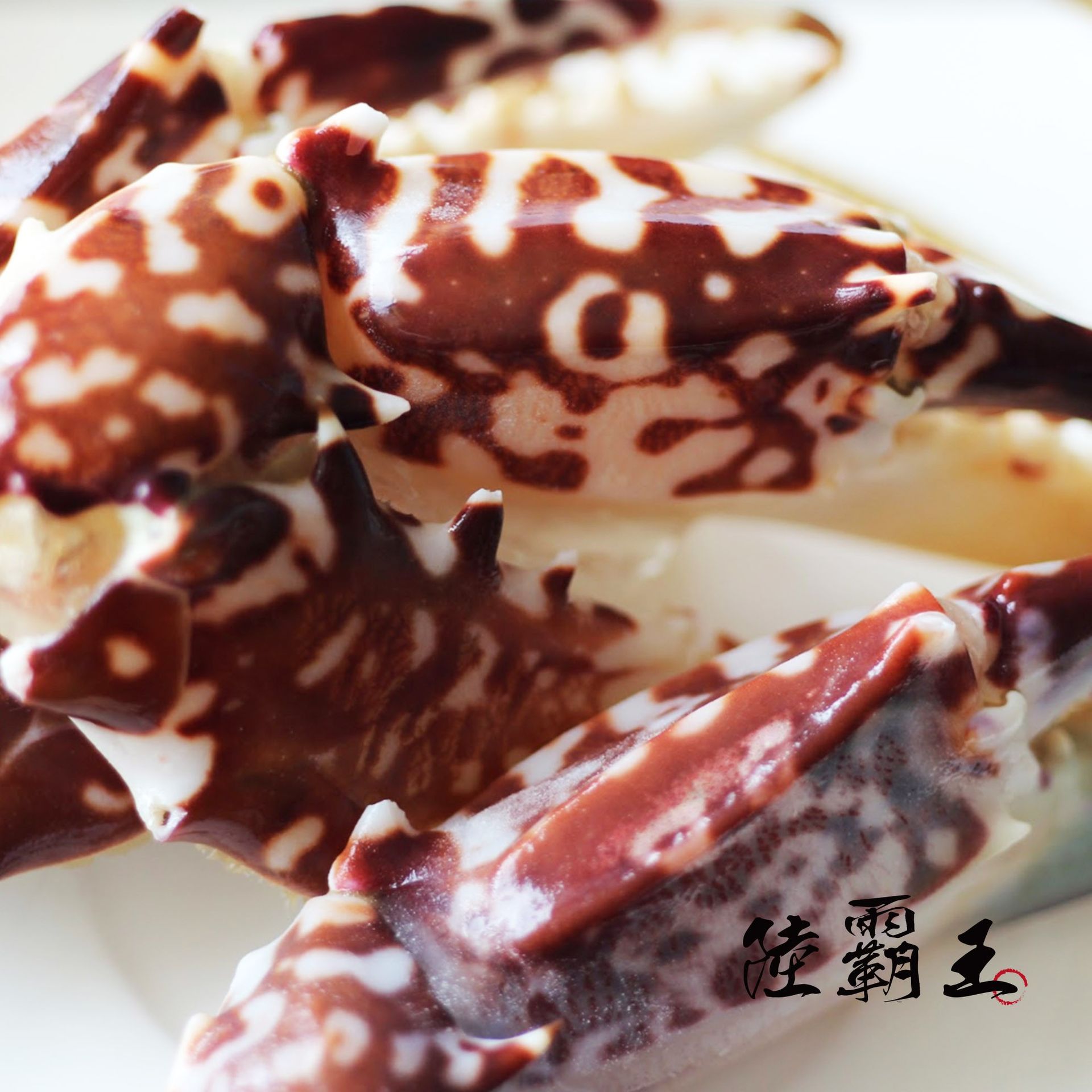 ☆3L螃蟹腳500克 ±10/包☆超級大 送禮 很有面子【陸霸王】