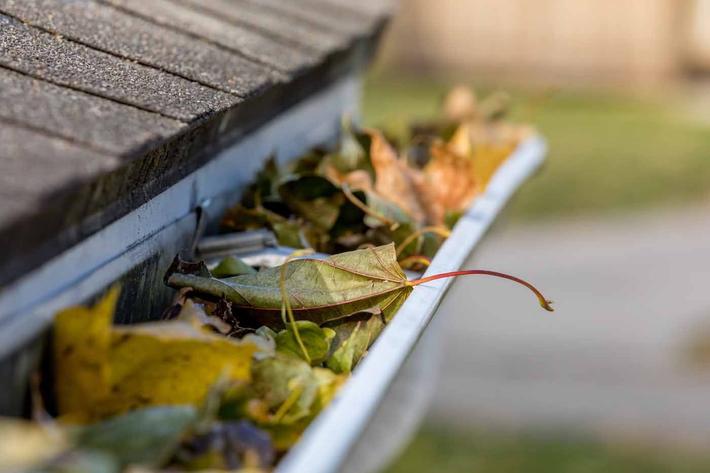 Gutter filled with colorful autumn leaves under a roof's edge.