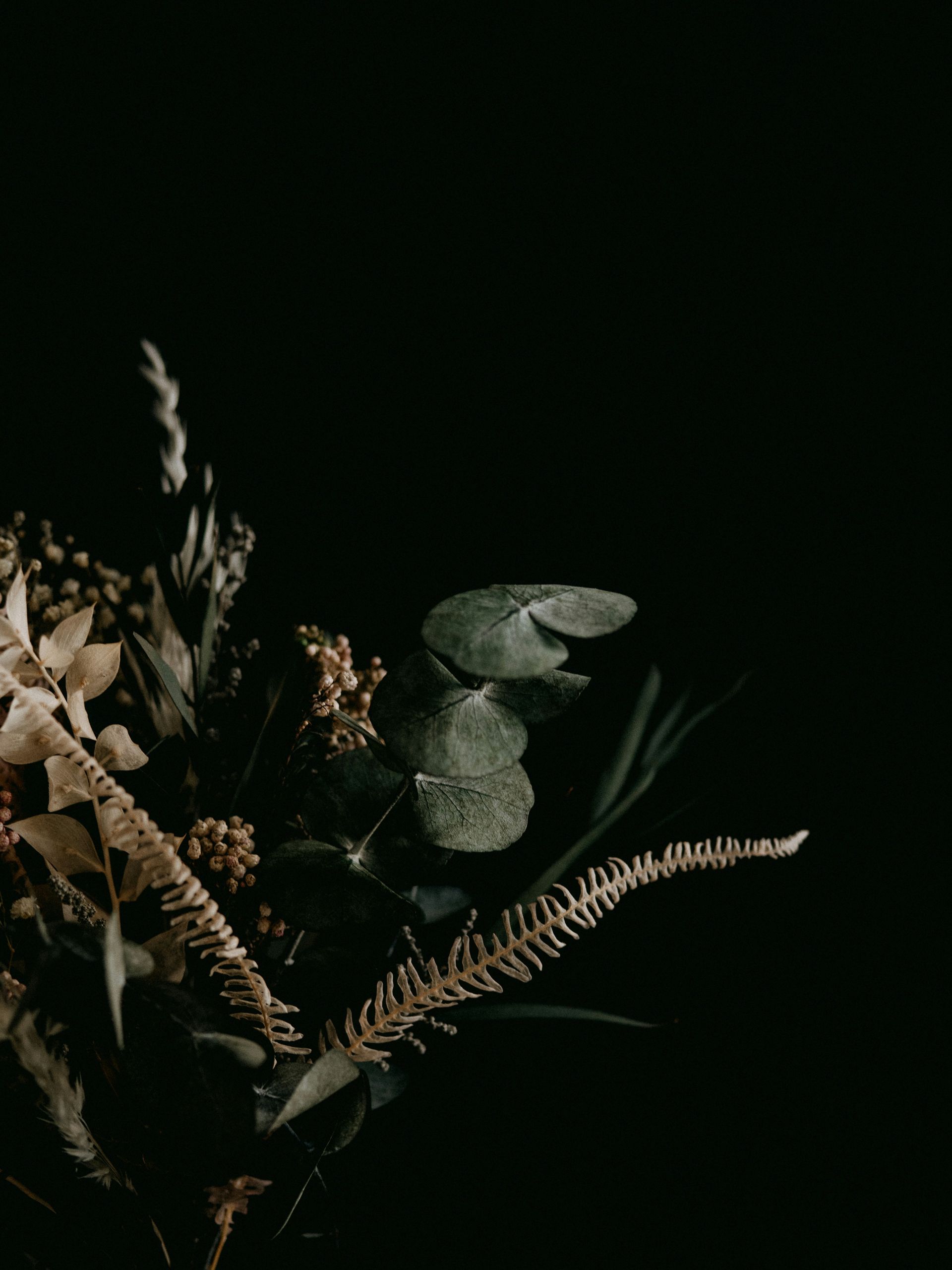 Dried floral arrangement against a black background; neutral colors of beige, green, and brown.